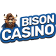 PlayBison Casino logo slot frame