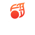Fireball Casino logó