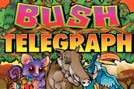 bush-telegraph-270x180s