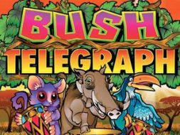 Bush Telegraph