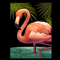 Flamingo symbol - slot narcos