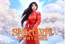 Sakura Fortune review