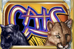 cats - slot machine