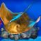 dolphins-pearl-slot-symbol-stingray-60x60s