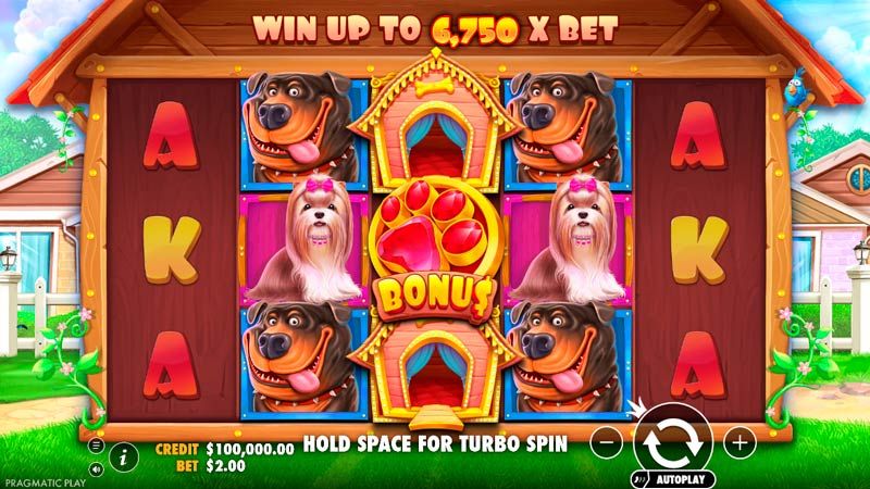 The Dog House jatekmenet