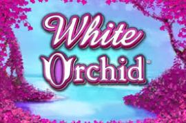 white-orchid-logo-270x180s